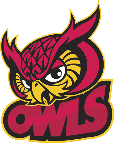 ThinkstockPhotos 533998491 OwlMascot - Why Are There No Owl Mascots in Big League Sports?